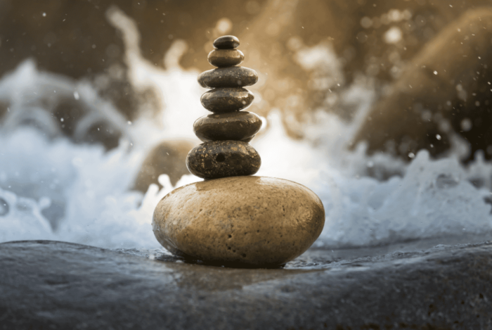 The Best Foods for Hormone Balance at 40 and Beyond